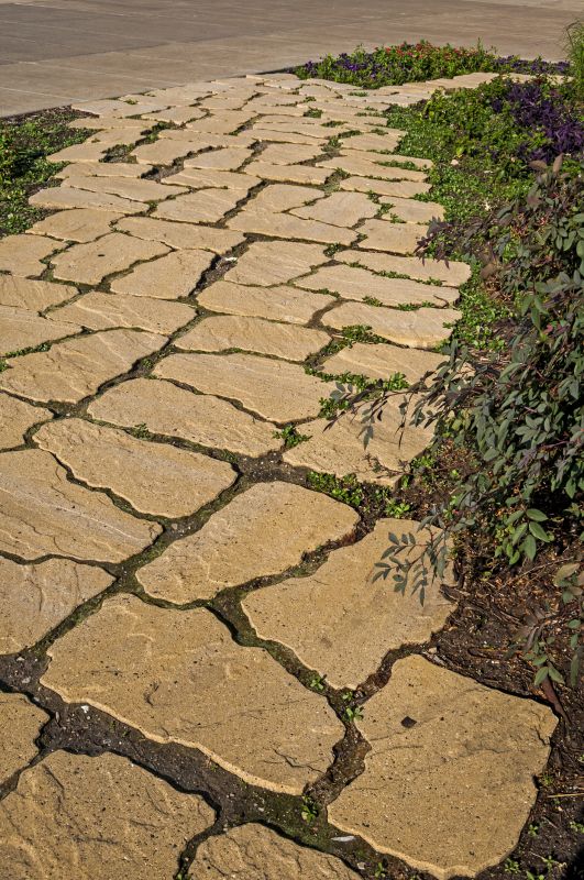 Paver Restoration